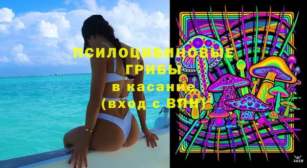 прущая мука Богородицк