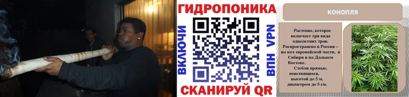 Бошки Шишки Bruce Banner Купить закладки Волгореченск